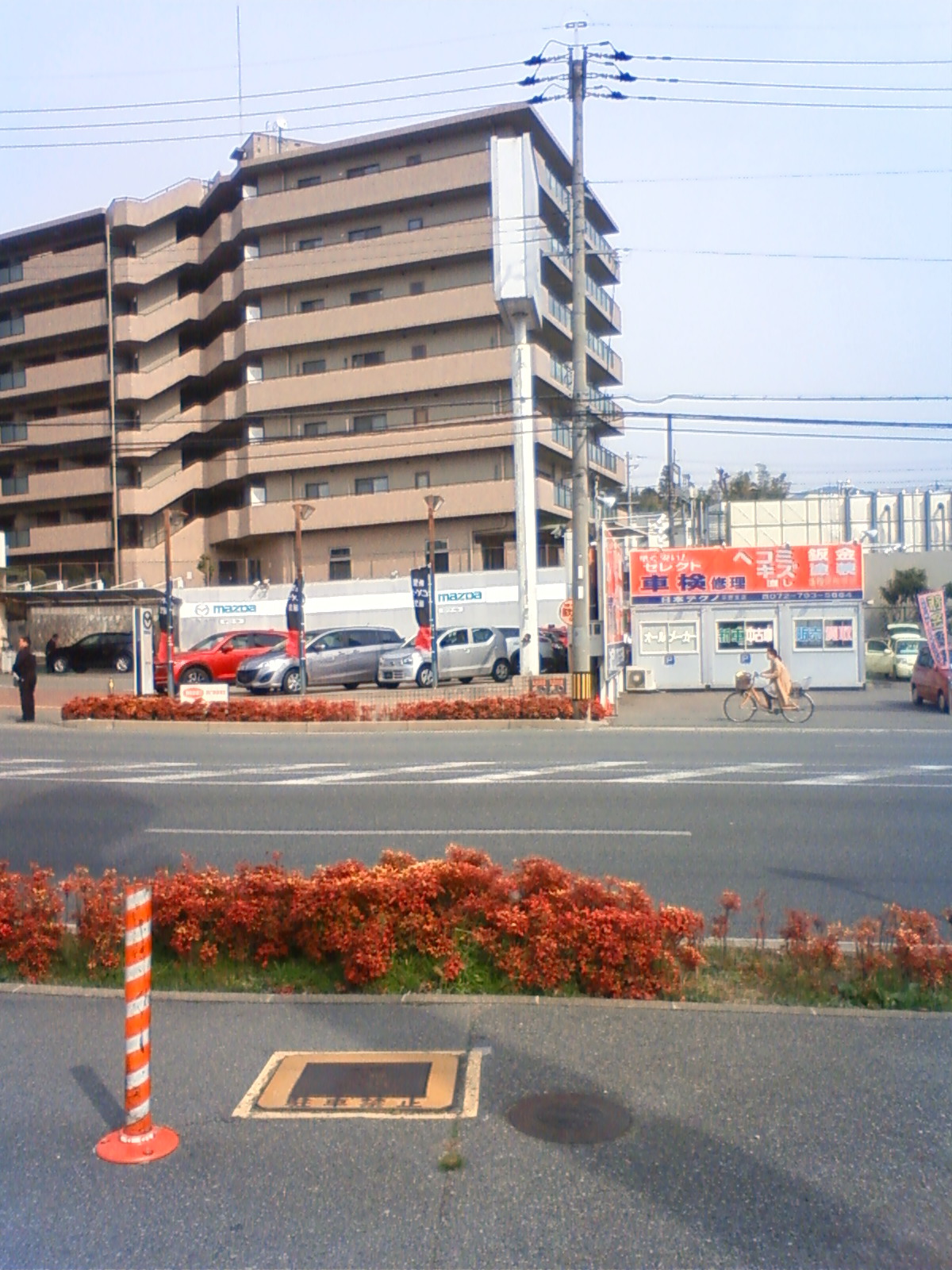 NEC_0181.JPG