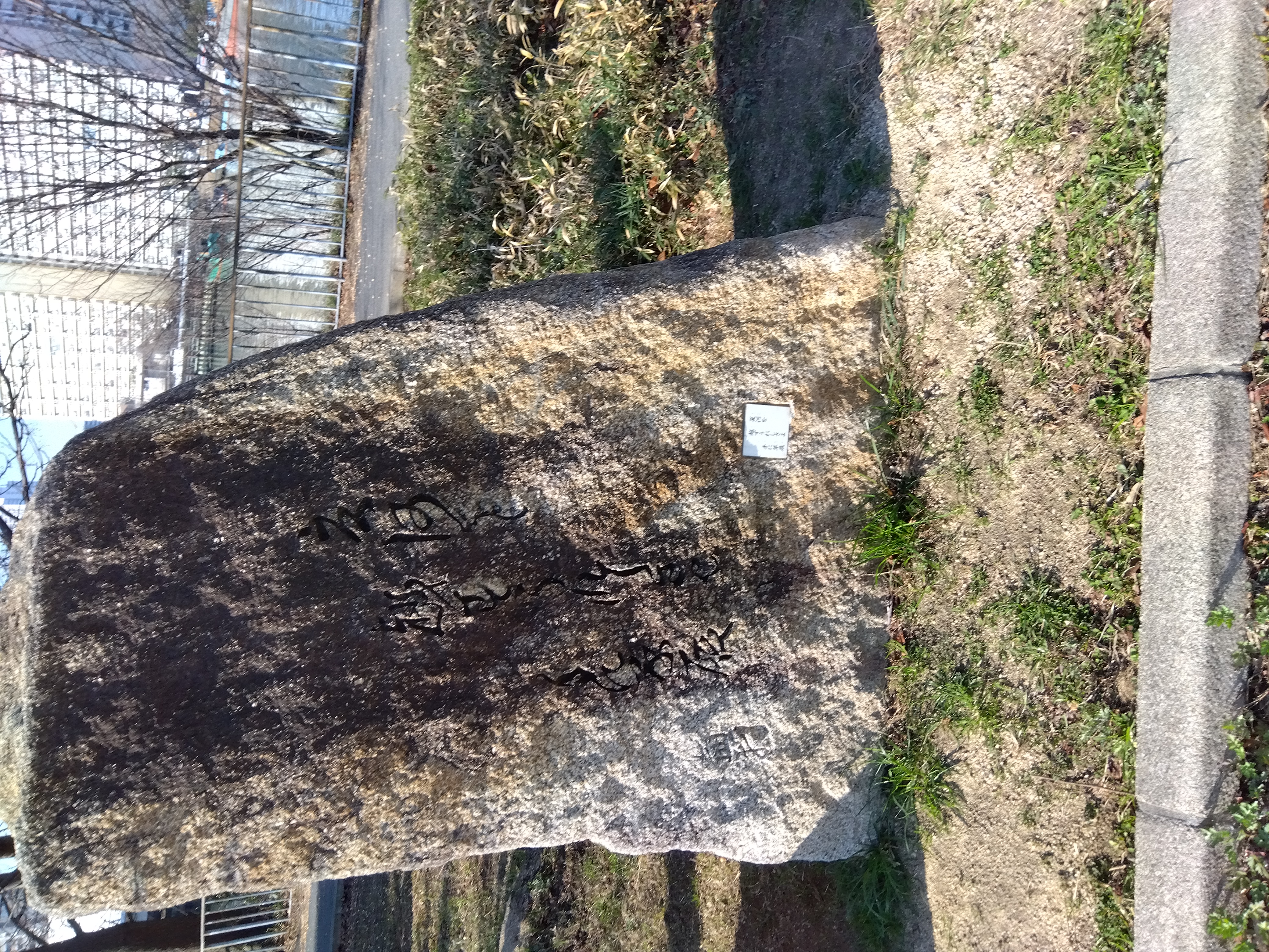 IMG_2023-02-27-09-01-00-623.jpg