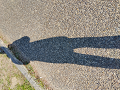 IMG_2023-02-27-09-01-20-176_thumb.png