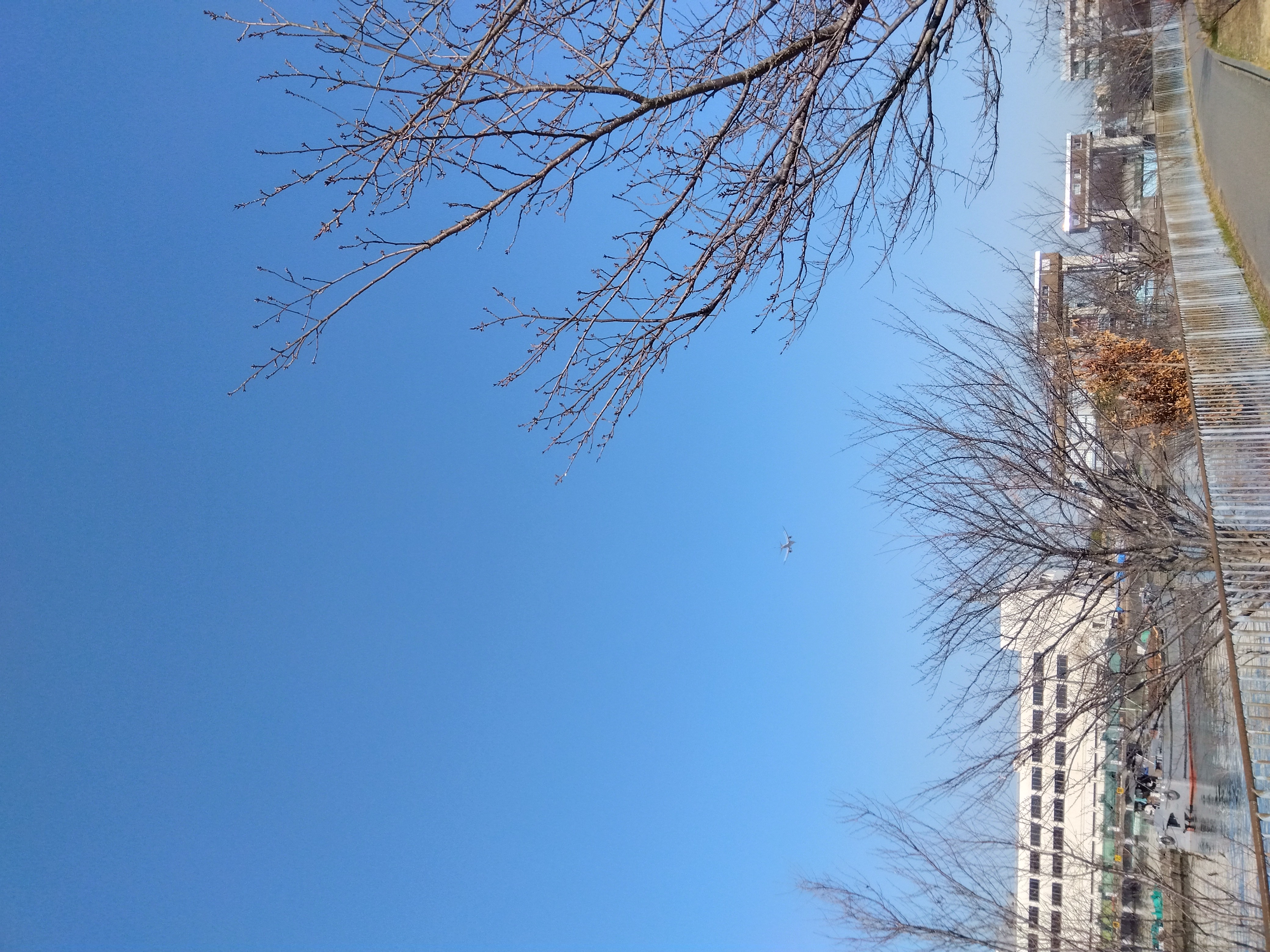IMG_2023-02-27-09-02-26-034.jpg
