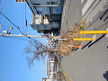 IMG_2023-02-27-09-04-00-814_thumb.png