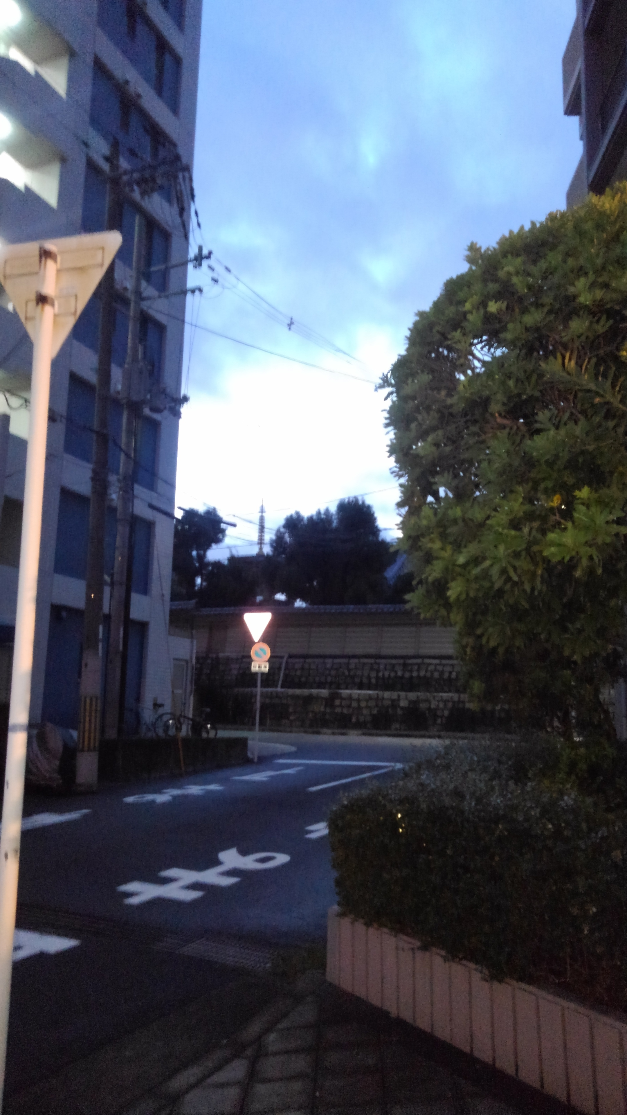 dell