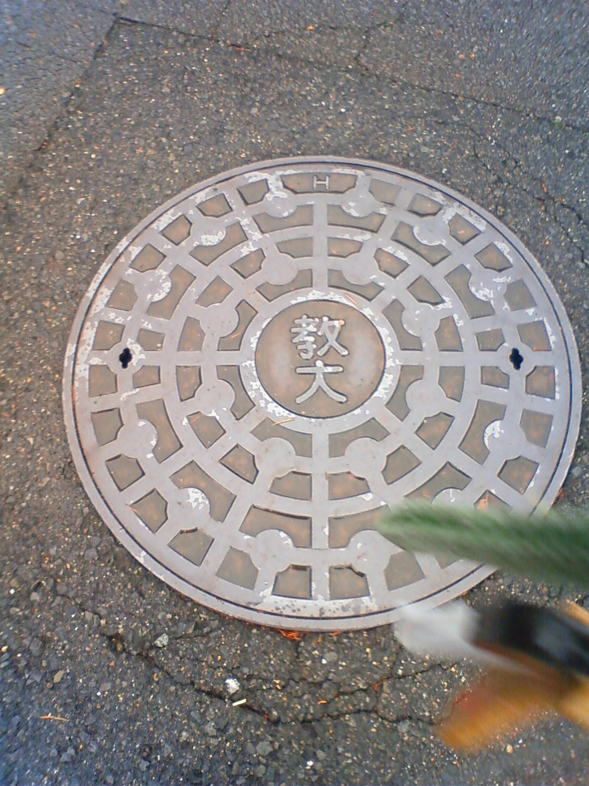 NEC_2285.JPG
