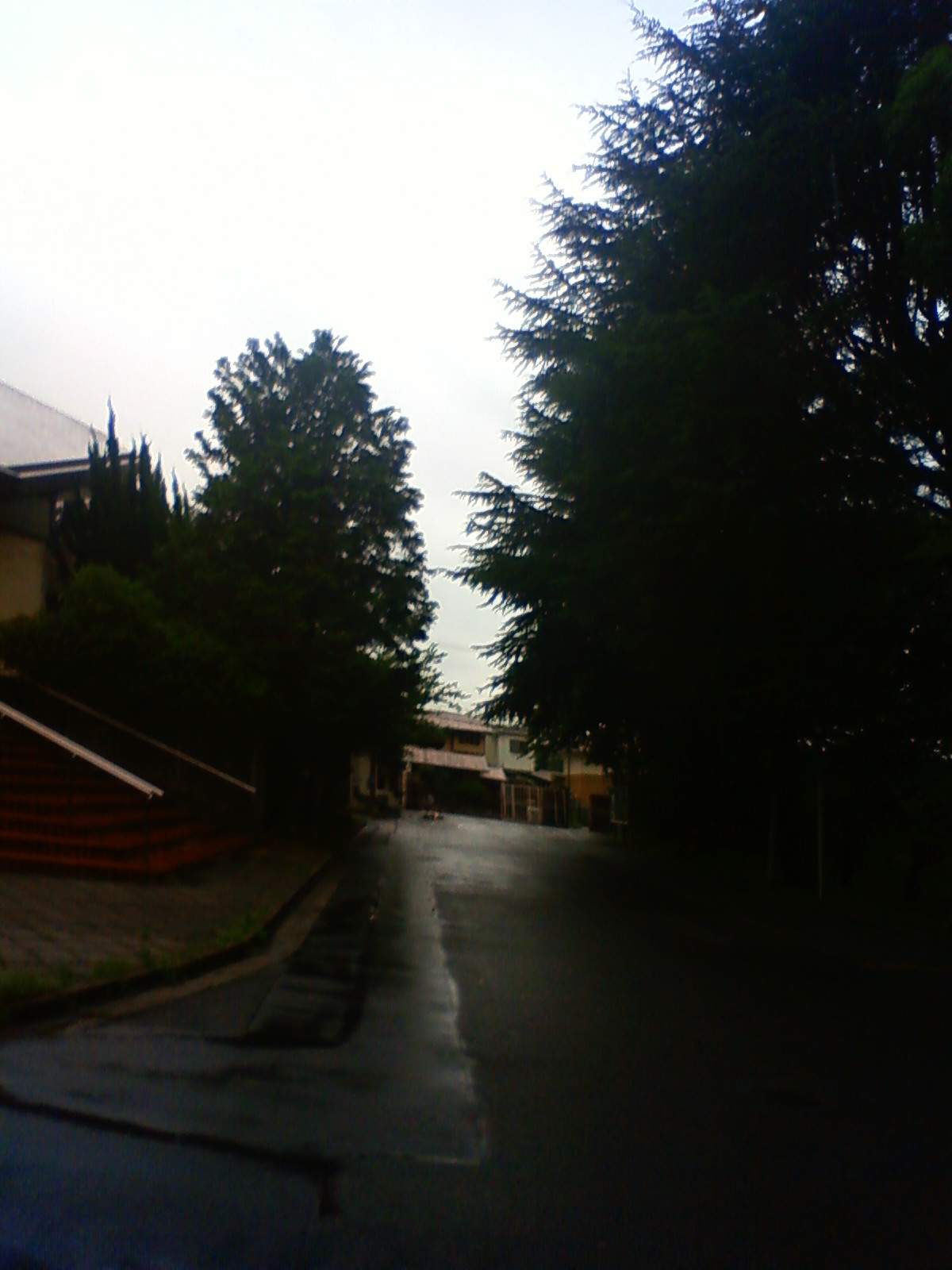 NEC_2287.JPG