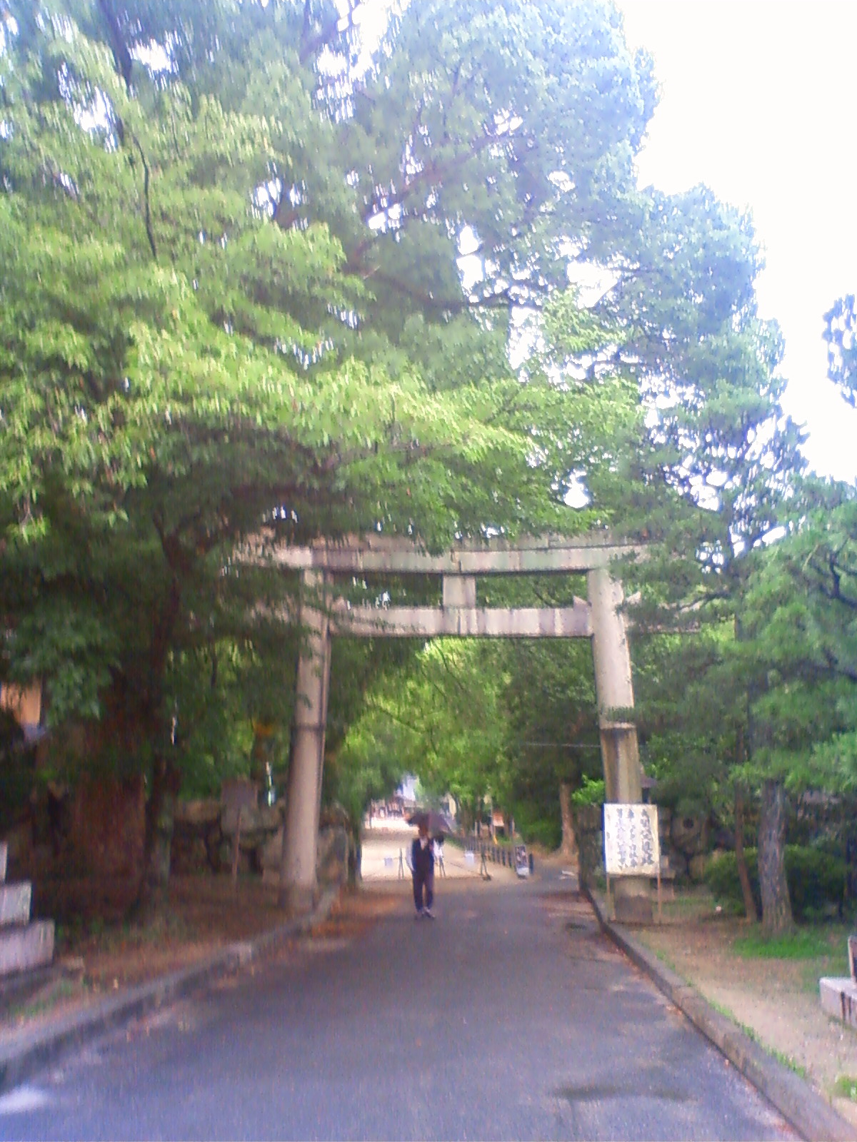 NEC_2292.JPG