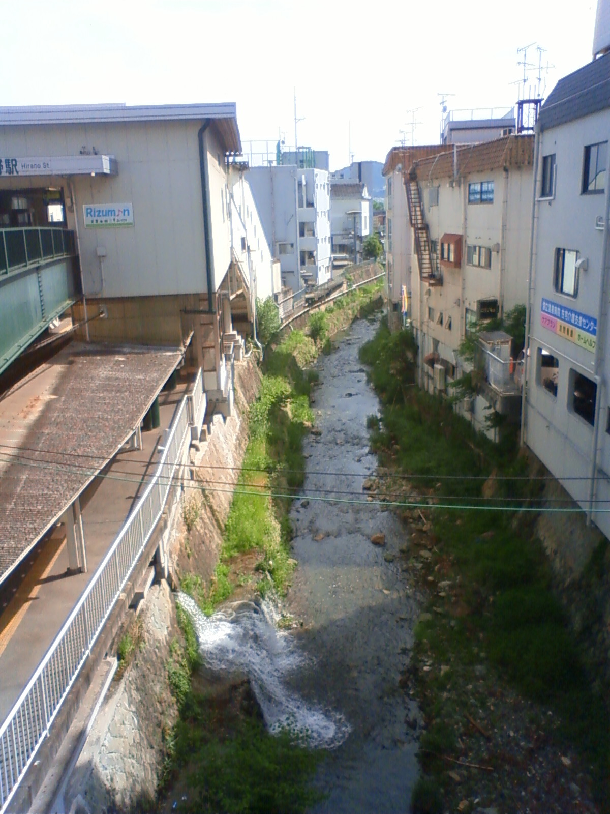 NEC_0646.JPG