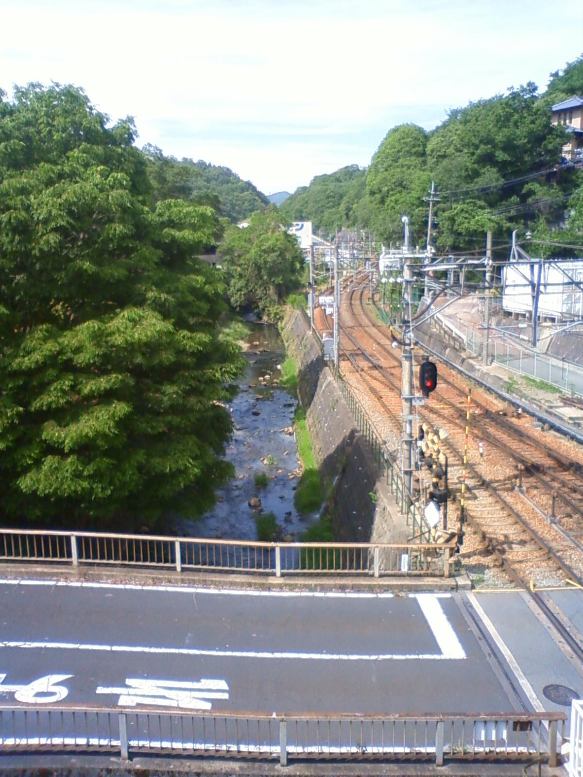 NEC_0647.JPG