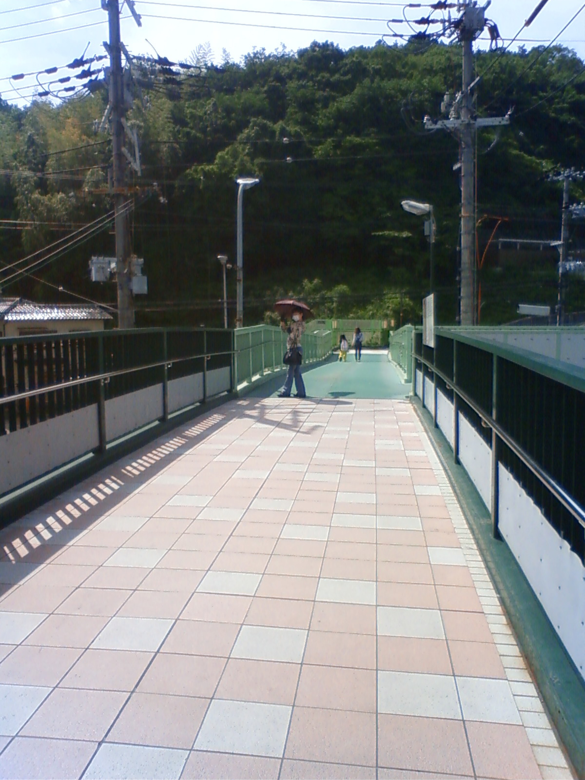 NEC_0648.JPG