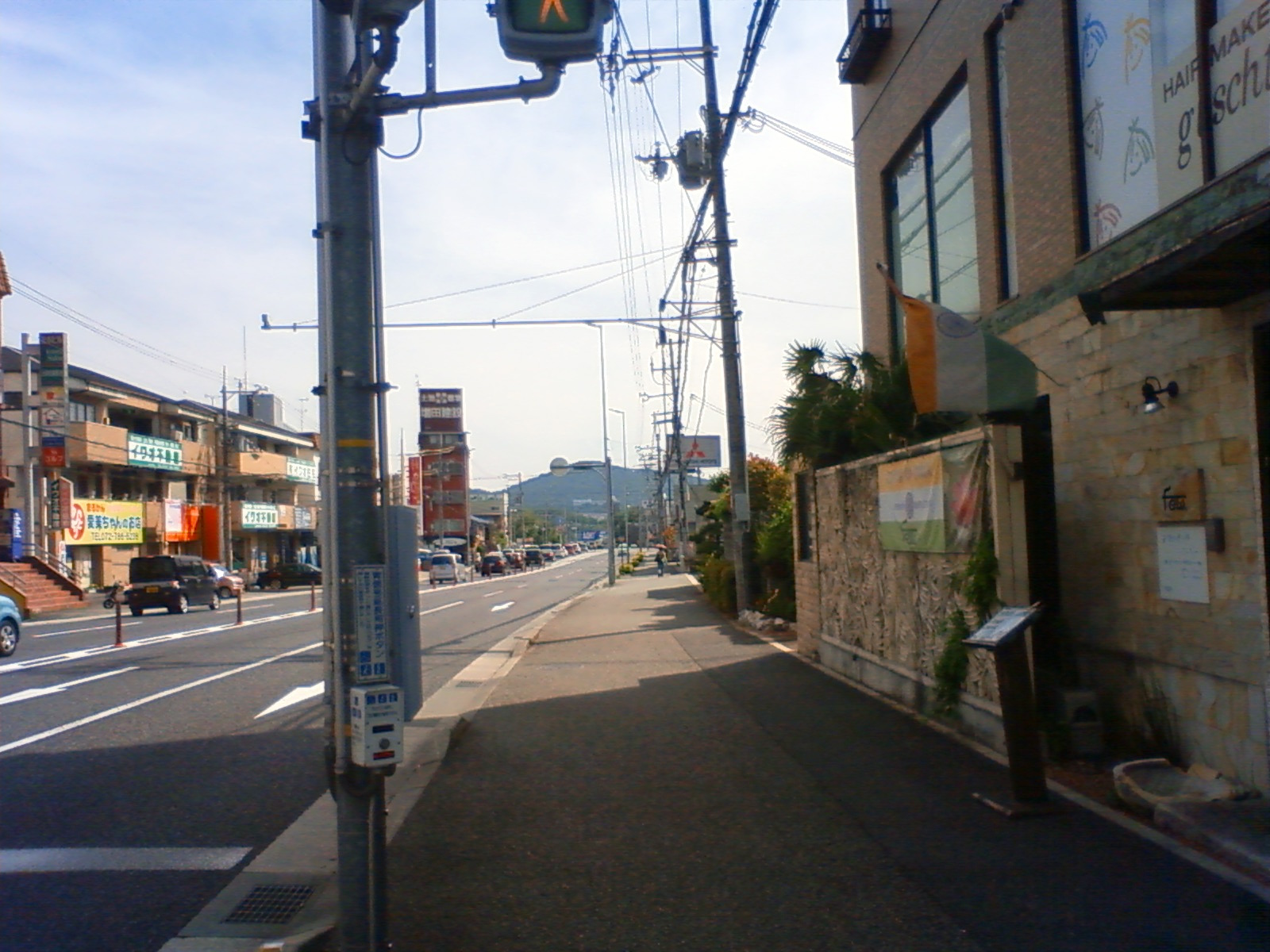 NEC_0654.JPG