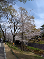 IMG_2024-04-07-10-31-36-119_thumb.png