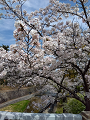 IMG_2024-04-07-10-34-16-916_thumb.png