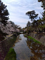 IMG_2024-04-07-10-39-02-810_thumb.png
