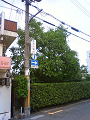 NEC_0764_thumb.png