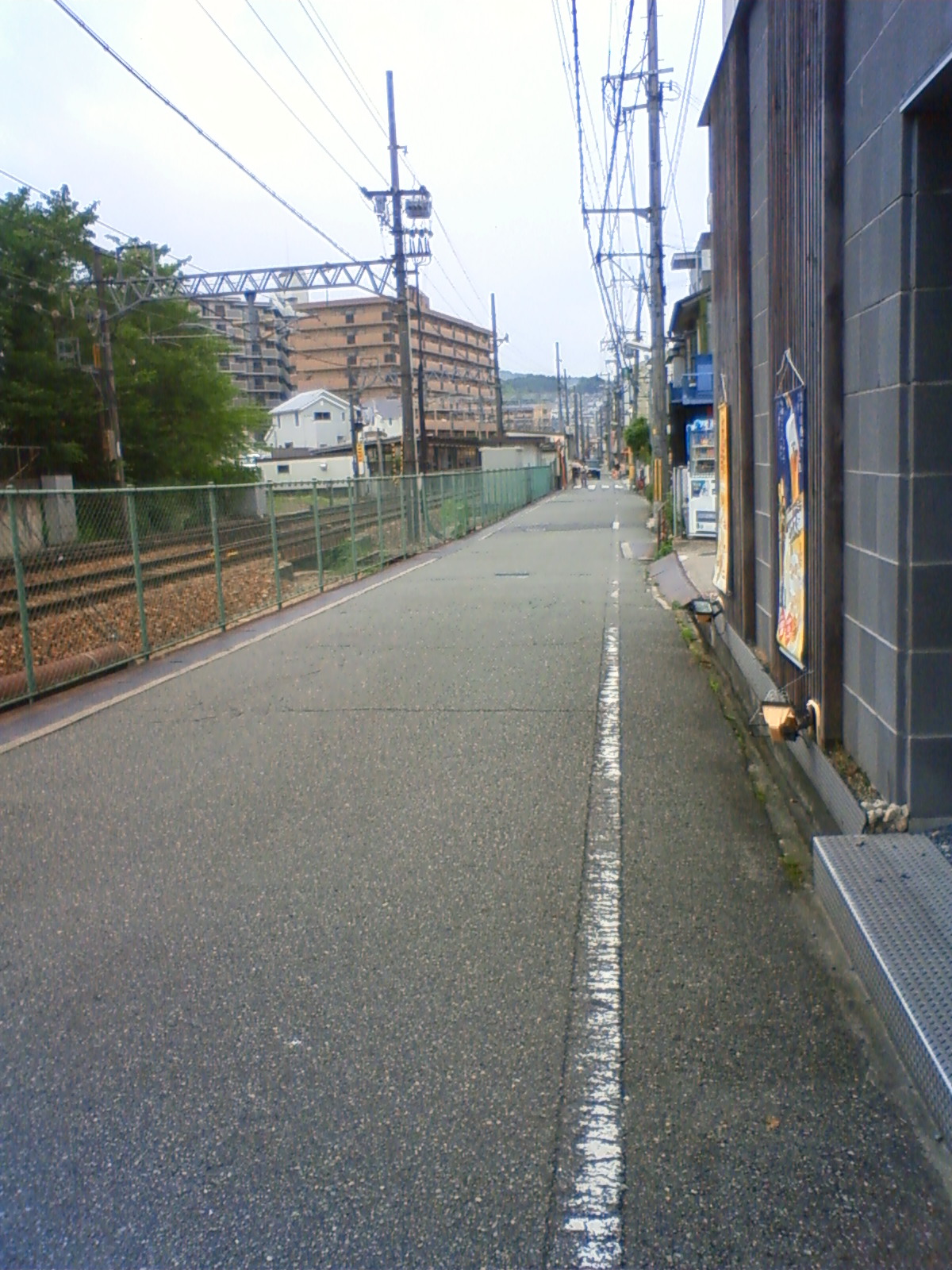 NEC_0766.JPG