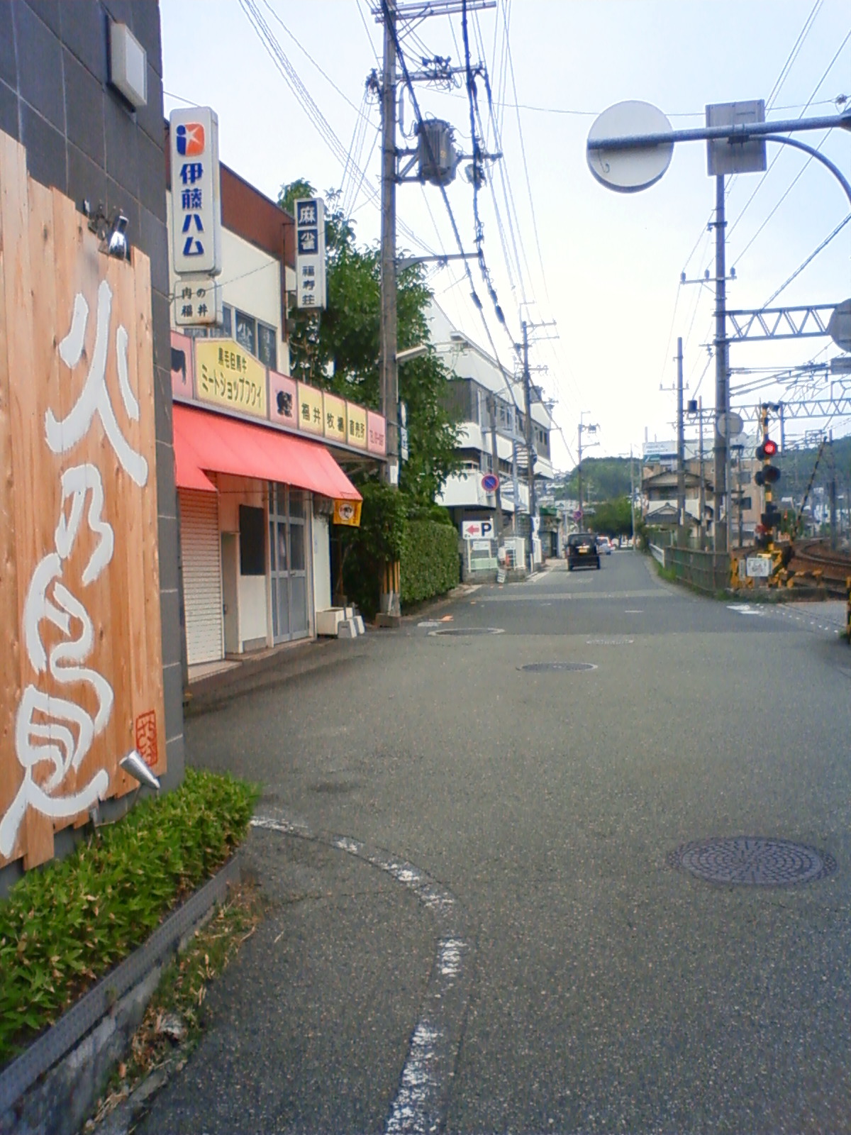 NEC_0767.JPG