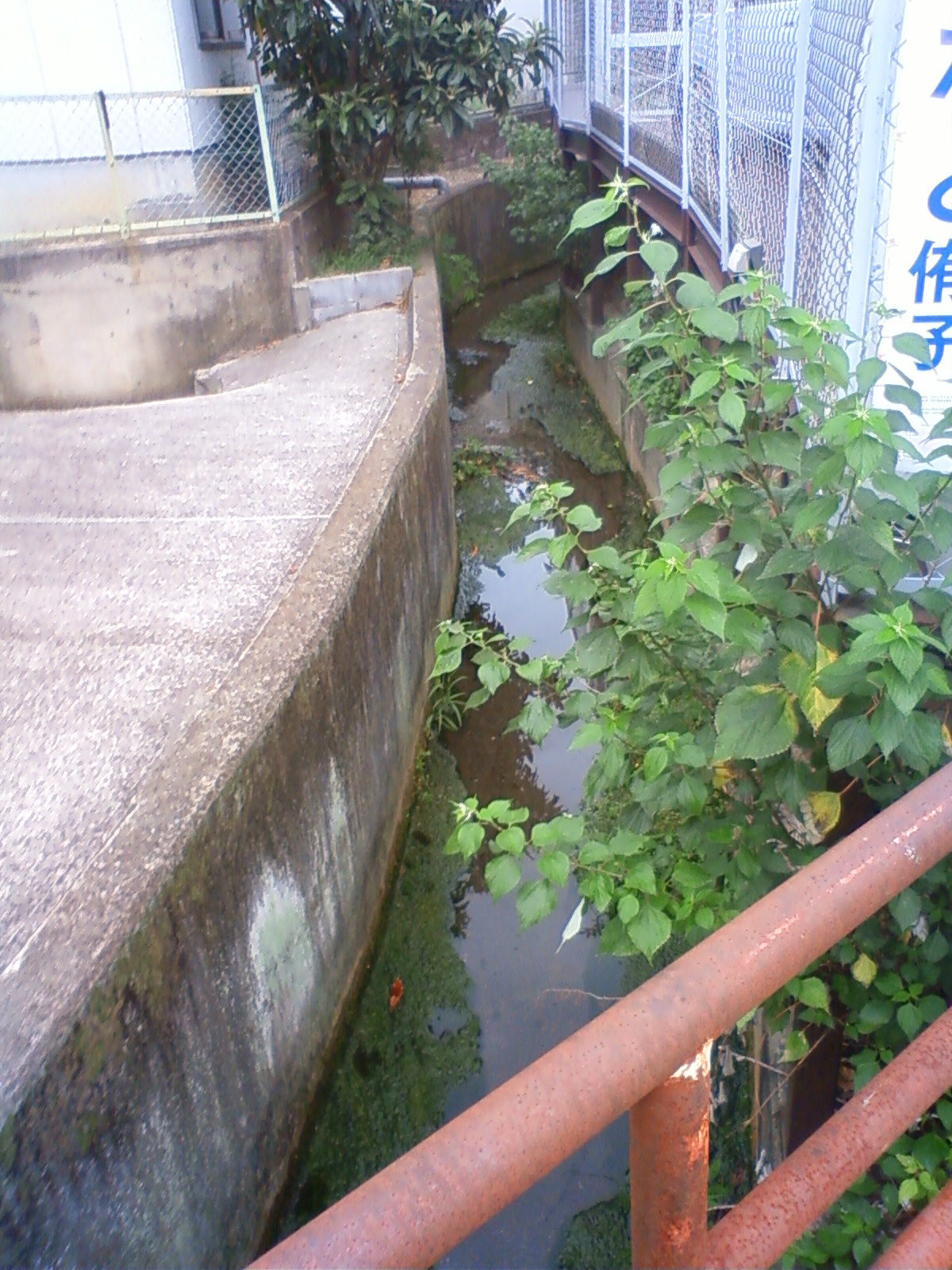 NEC_0768.JPG