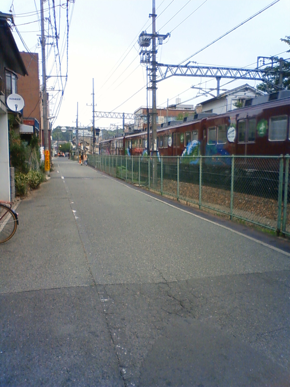 NEC_0769.JPG