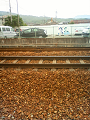 NEC_0774_thumb.png