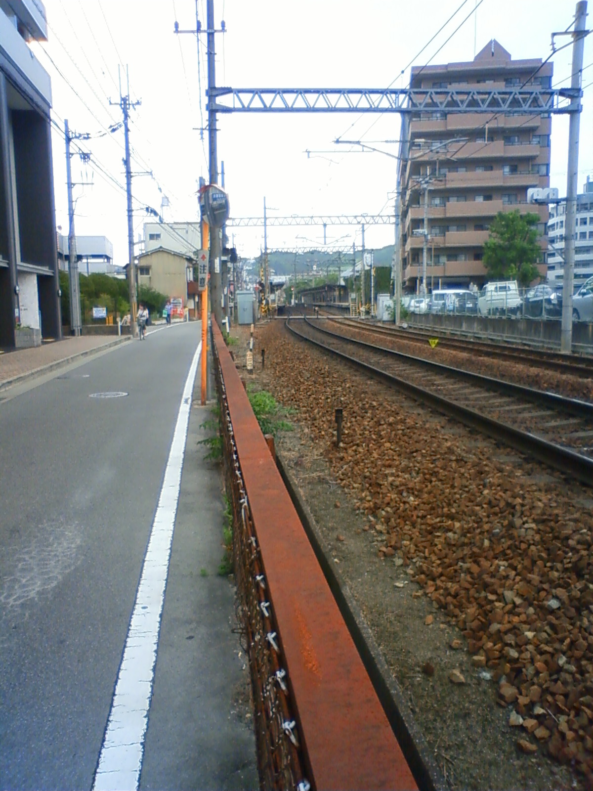 NEC_0776.JPG