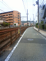 NEC_0777_thumb.png