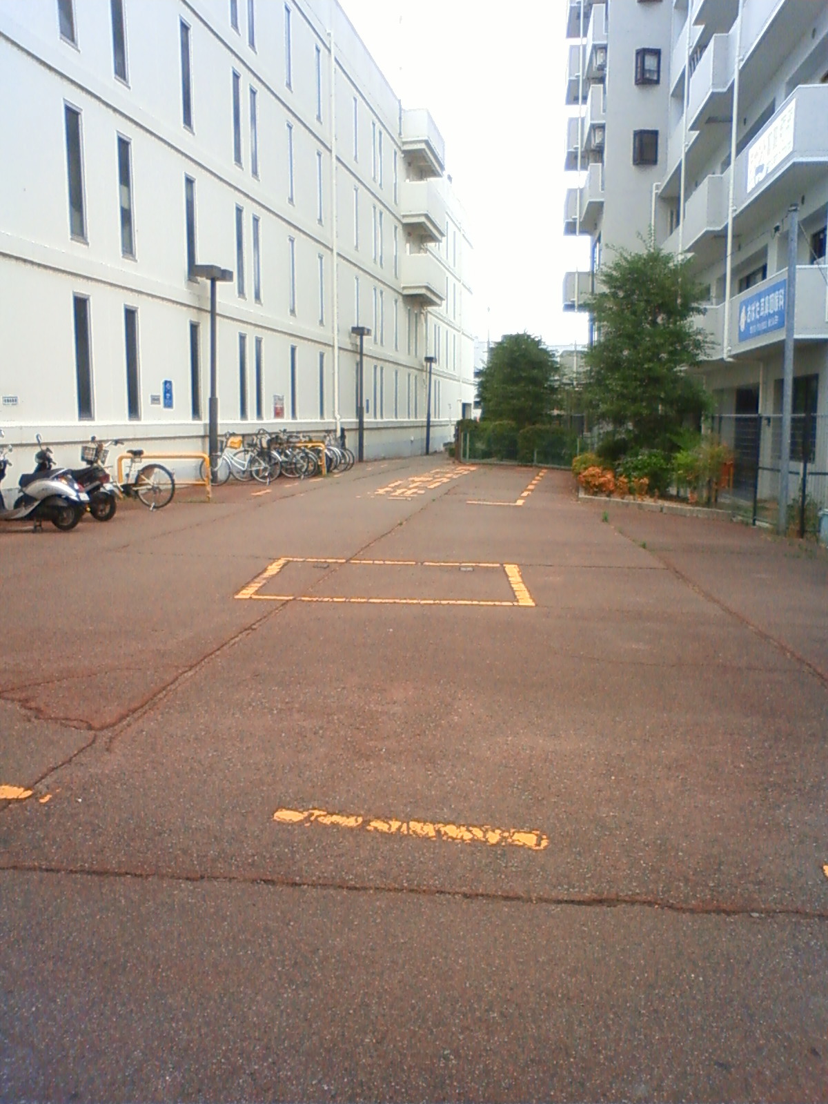 NEC_0779.JPG
