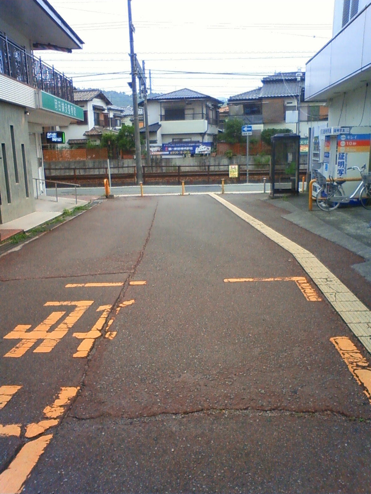 NEC_0780.JPG