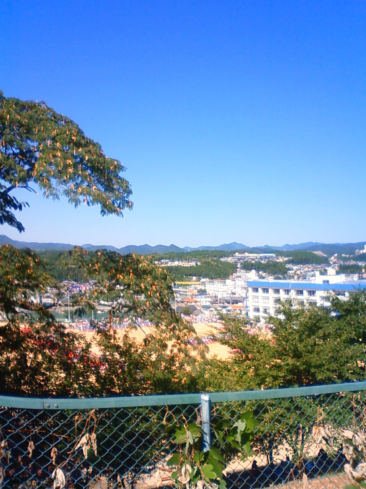 NEC_0101.JPG