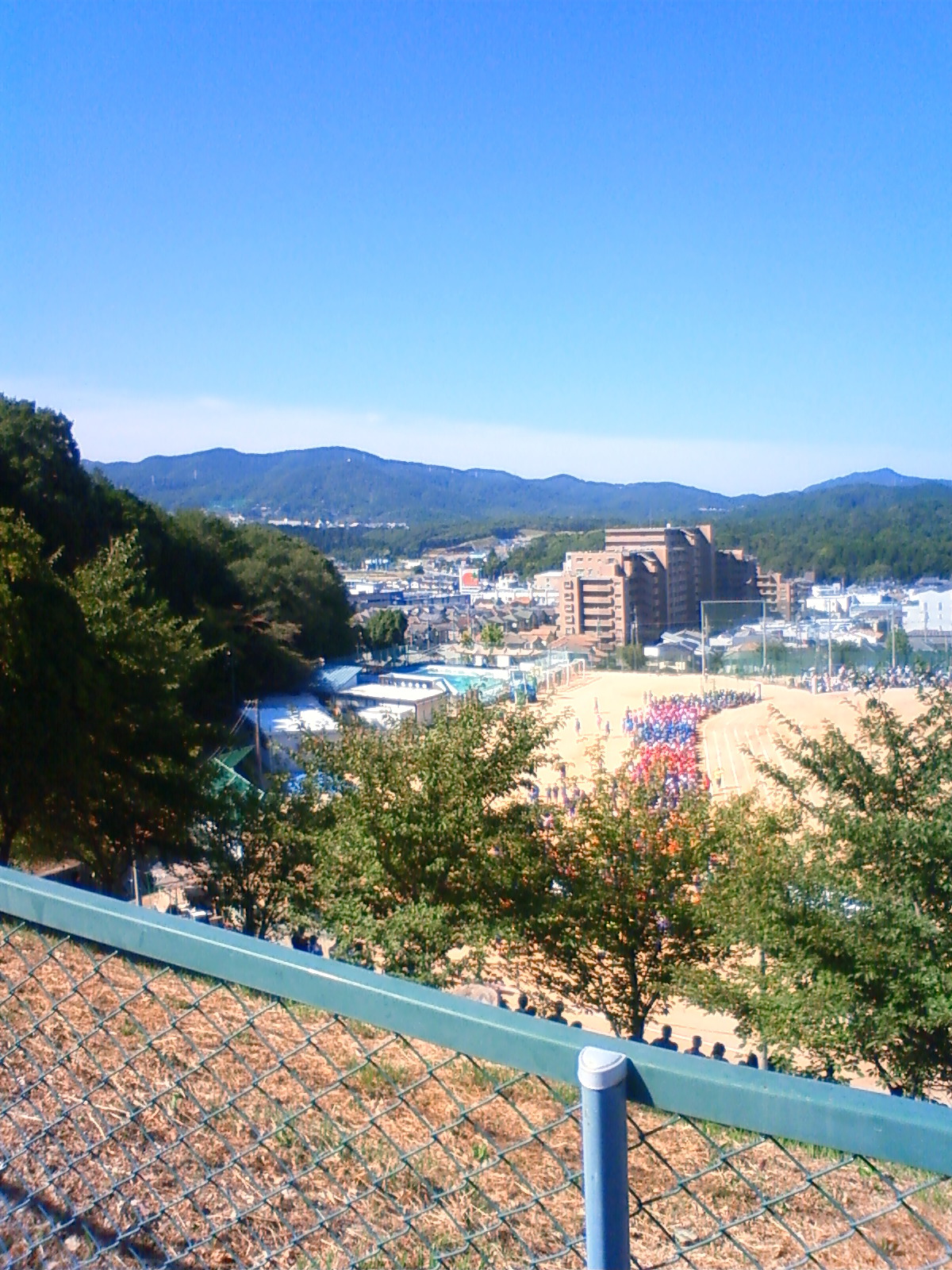 NEC_0103.JPG