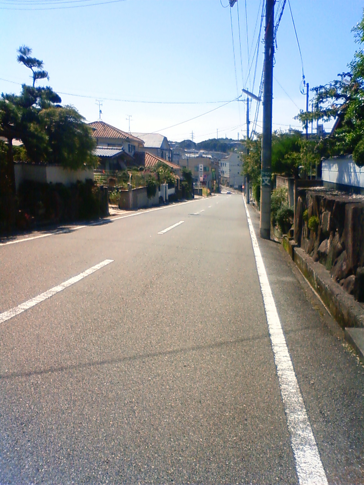 NEC_0113.JPG