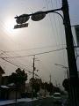 NEC_0915_thumb.png