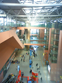 NEC_0923_thumb.png