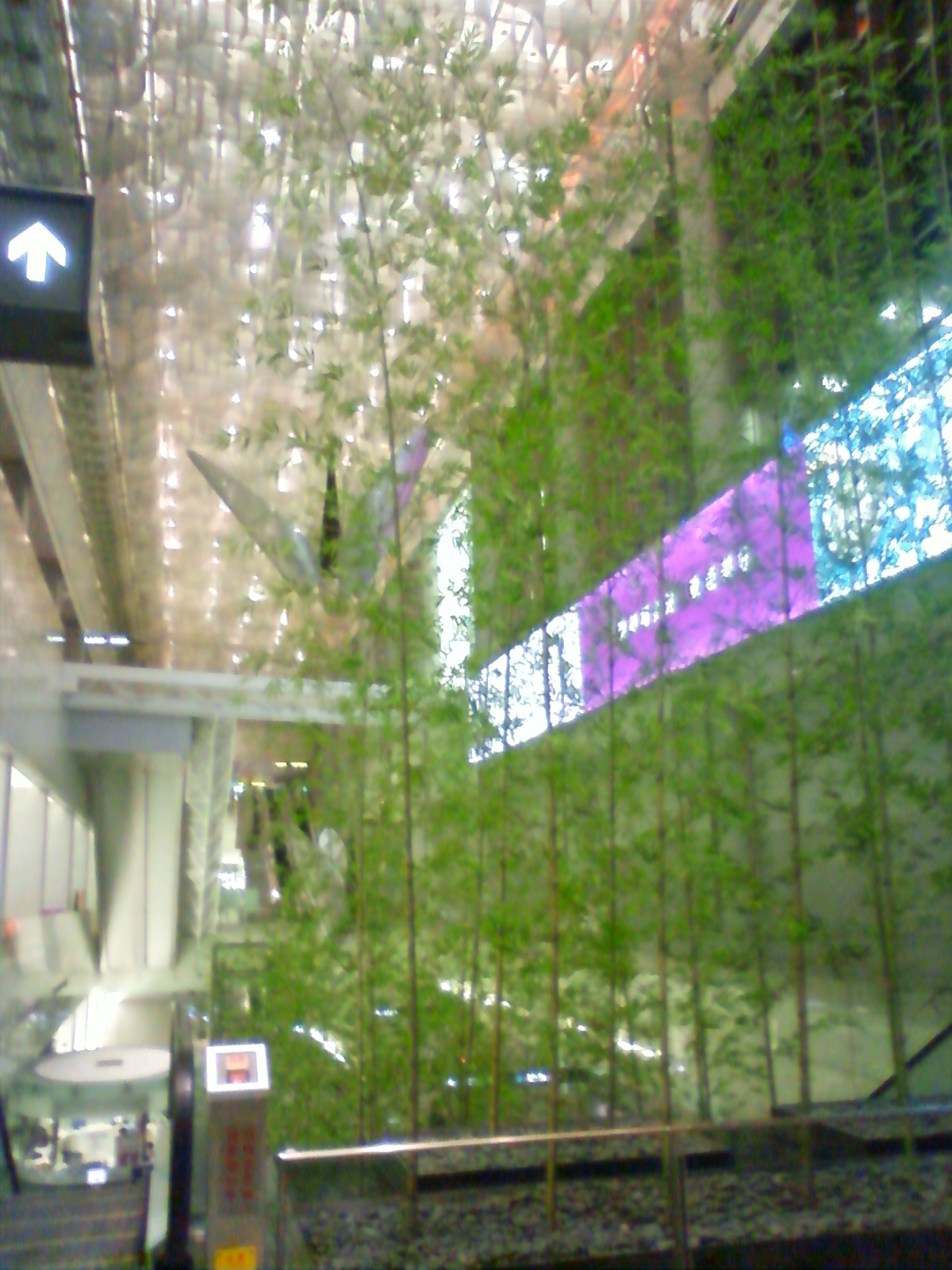 NEC_0930.JPG