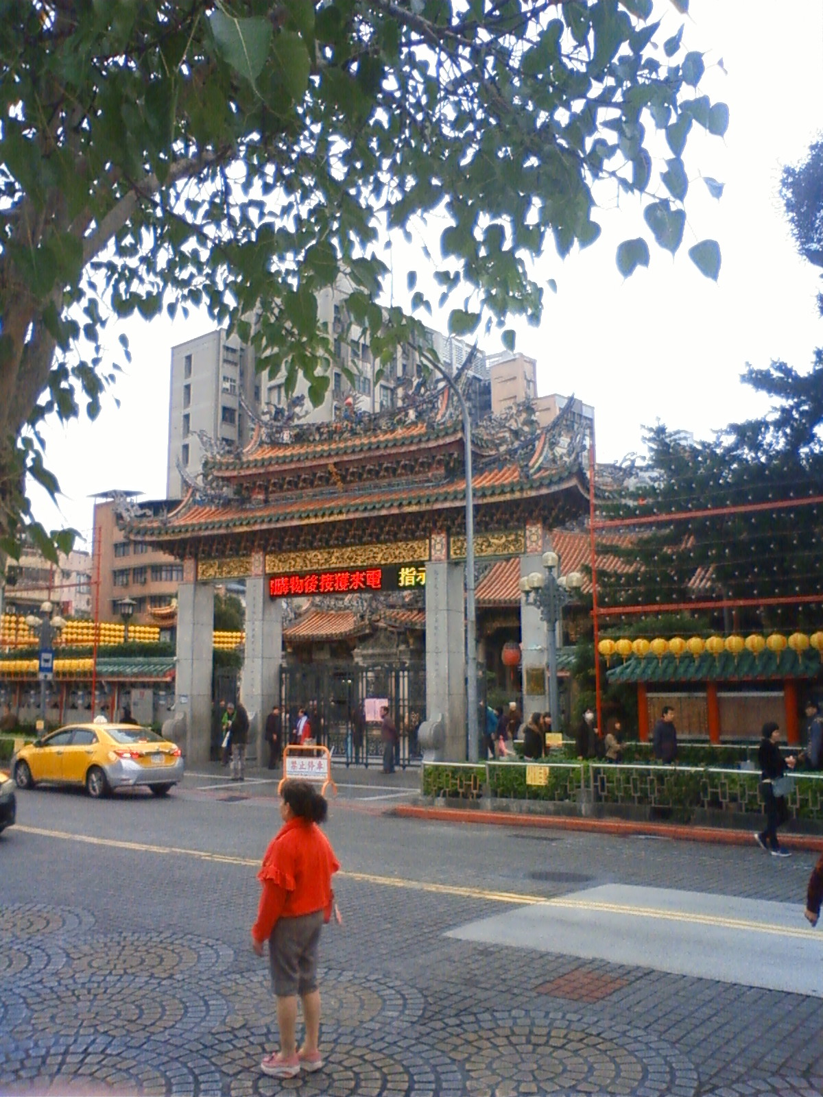 NEC_0954.JPG