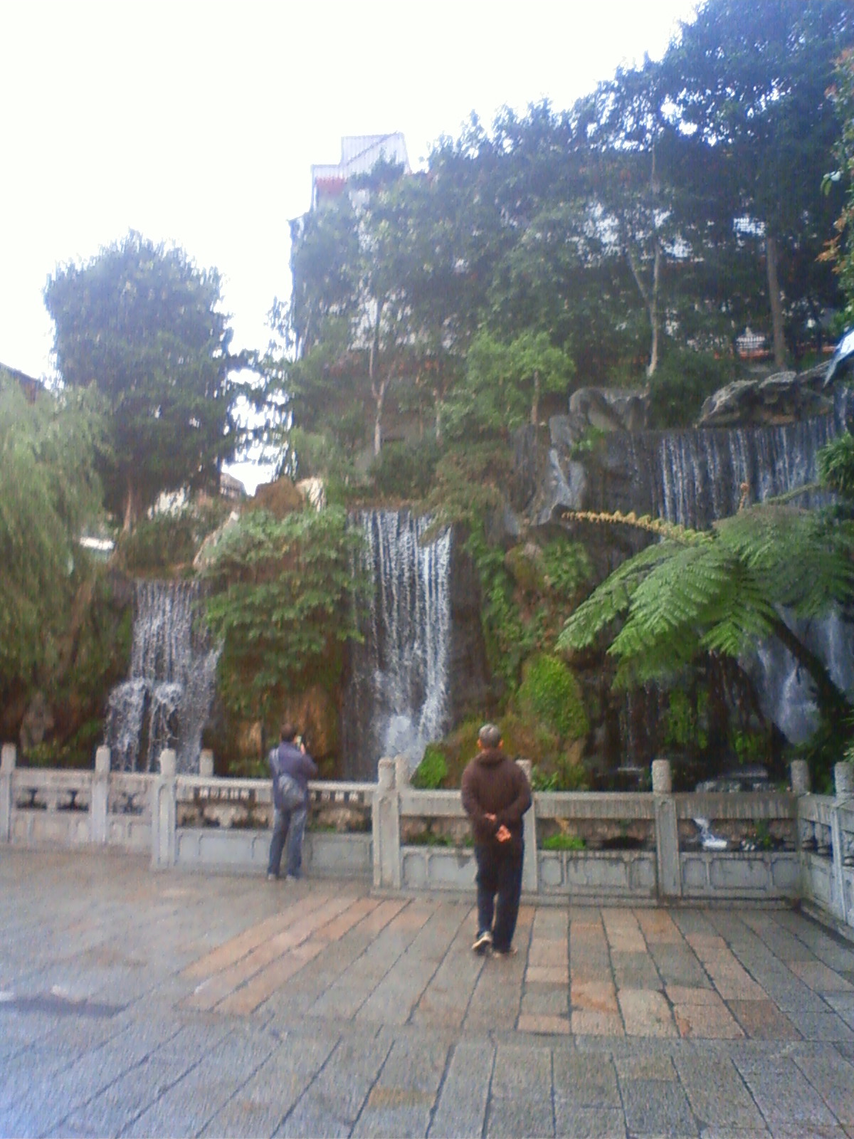 NEC_0956.JPG