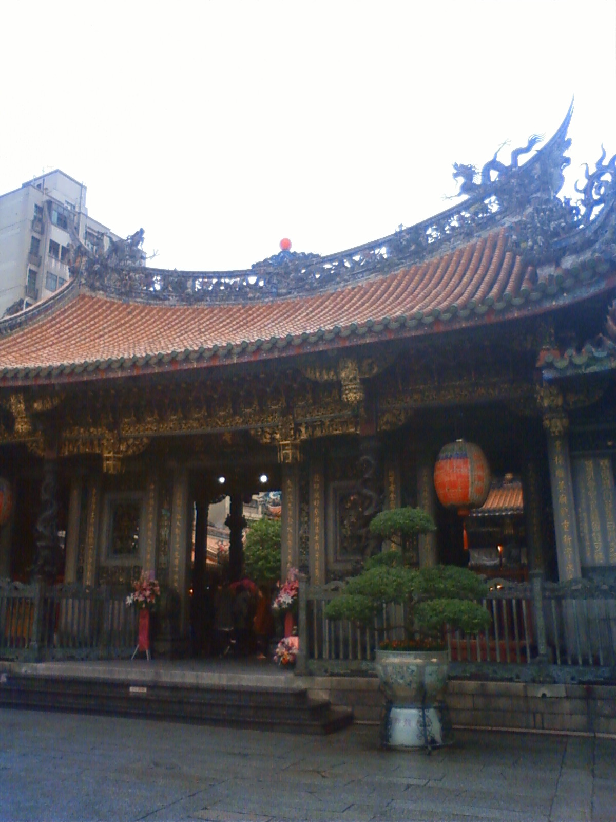 NEC_0957.JPG