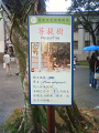 NEC_0976_thumb.png