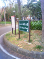NEC_0981_thumb.png