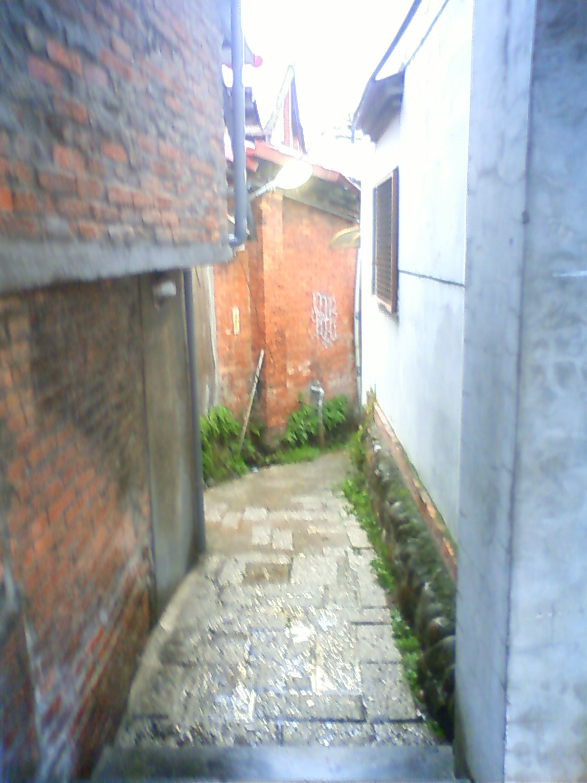 NEC_1003.JPG