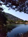 IMG_2025-03-20-15-14-12-908_thumb.png