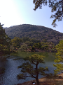 IMG_2025-03-20-15-15-34-144_thumb.png