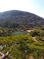 IMG_2025-03-20-15-16-51-152_thumb.png
