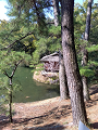 IMG_2025-03-20-15-18-49-095_thumb.png