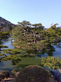 IMG_2025-03-20-15-30-29-456_thumb.png