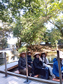 IMG_2025-03-20-15-42-49-263_thumb.png