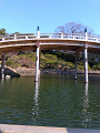 IMG_2025-03-20-15-50-44-479_thumb.png