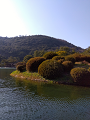 IMG_2025-03-20-15-51-16-545_thumb.png