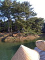 IMG_2025-03-20-15-53-05-340_thumb.png