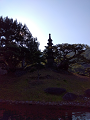 IMG_2025-03-20-15-53-35-414_thumb.png