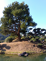 IMG_2025-03-20-15-54-57-551_thumb.png