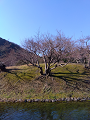 IMG_2025-03-20-15-57-04-460_thumb.png